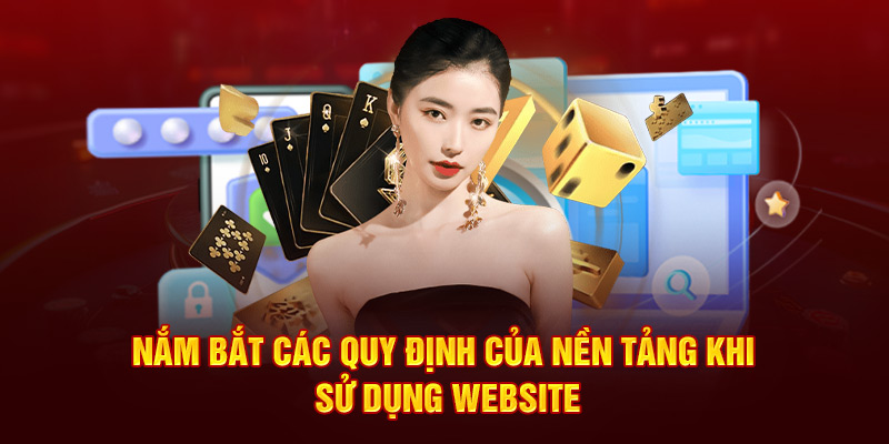 nam-bat-cac-quy-dinh-cua-nen-tang-khi-su-dung-website